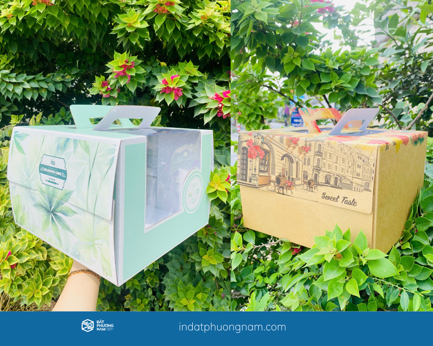 Hộp đựng bánh kem thân thiện môi trường – Lựa chọn tối ưu cho doanh nghiệp