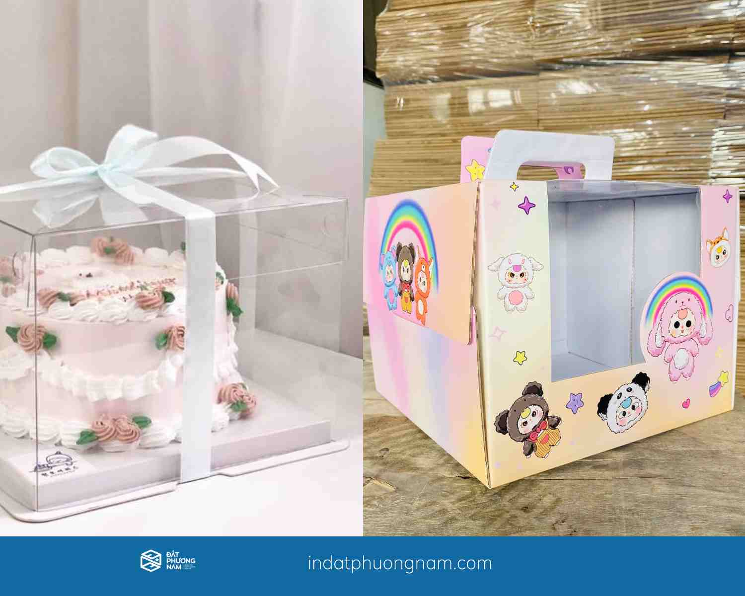 Hộp đựng bánh kem giấy và hộp nhựa – Đâu là lựa chọn tốt nhất?